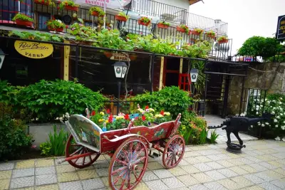 Bistro Varna