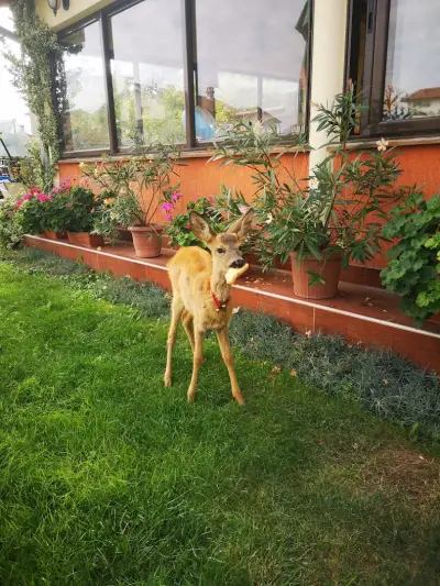 Hotel Sunny Park