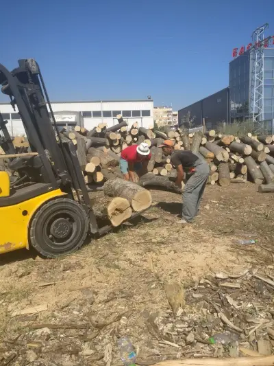 Нова Лес ЕООД /Склад дърва за огрев/