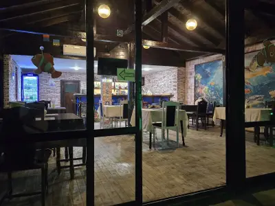 кафе Немо