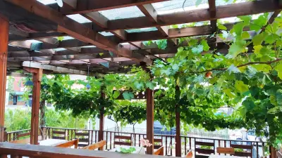 Restaurant & Pizza Terrace