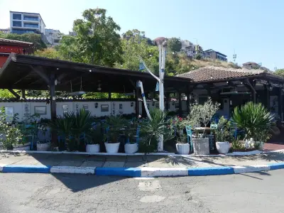 Chiko's Fish Restaurant
