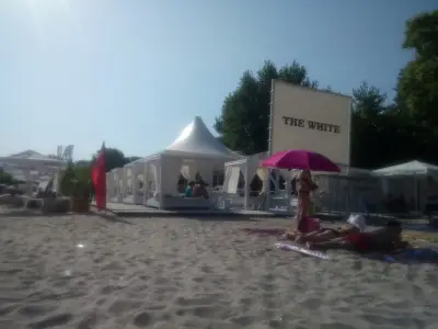The White