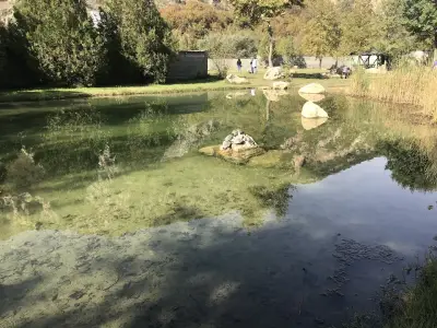 Магазин за хранителни стоки НЕЛИ