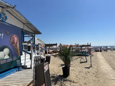 Iguana Bar Smokinya