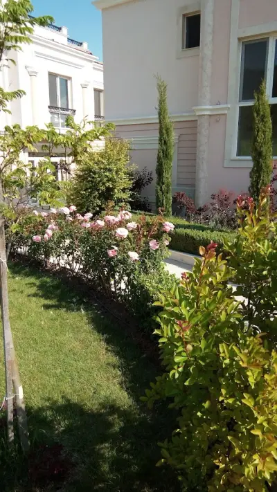 Olympia Houses