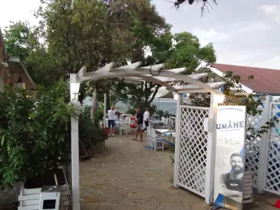 Далян "Чайка"