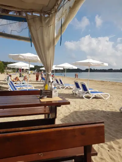 Bar & Dinner Рибката