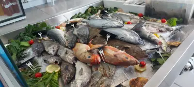 Магазин за риба OCEANO FISH & MORE