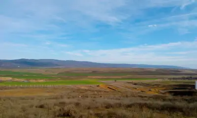 ТРАХИТ ИНВЕСТ