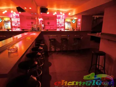 Club CHAMELEON Клуб ХАМЕЛЕОН