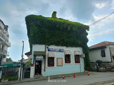 Синият лъв