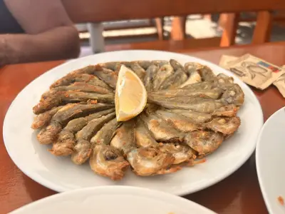 Далян Акротир