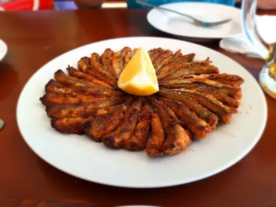 Далян Акротир