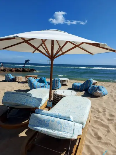 Luxury Beach Dolphin