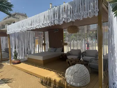 Luxury Beach Dolphin