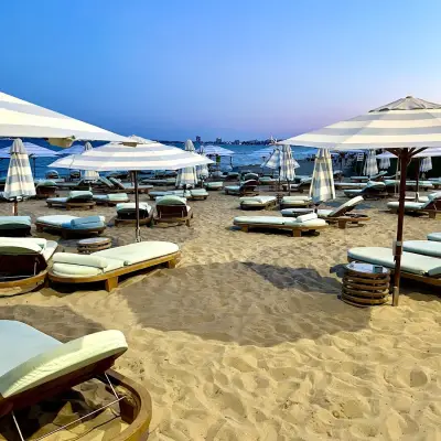 Luxury Beach Dolphin