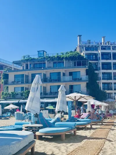 Luxury Beach Dolphin