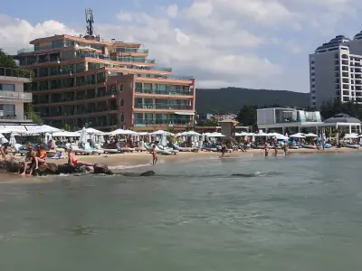 Luxury Beach Dolphin