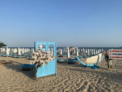 Luxury Beach Dolphin