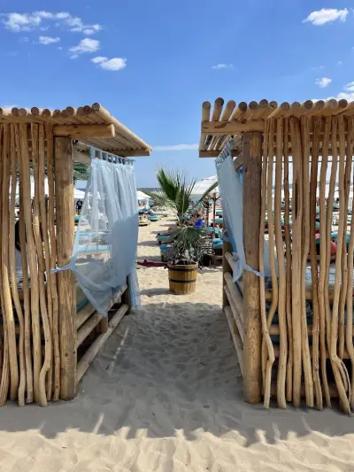 Luxury Beach Dolphin