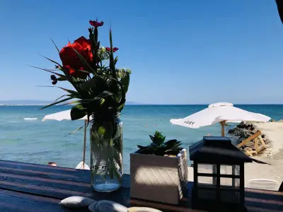 Beach Bar - End of the world