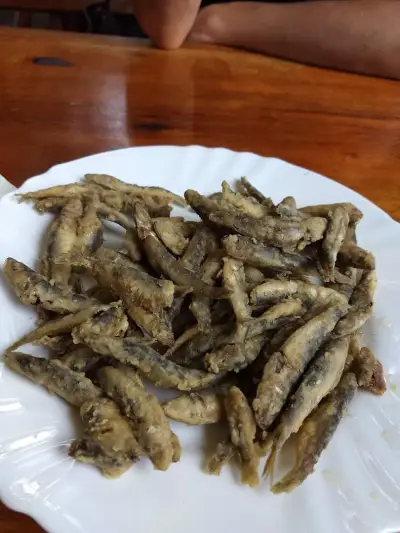 Bistro Academica