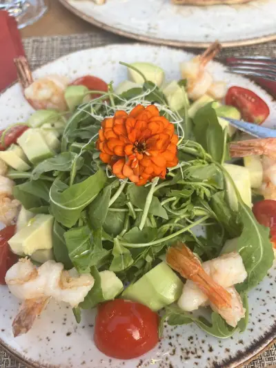 Stella di mare