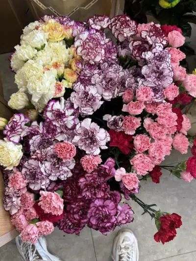 Градински Център Екзотик