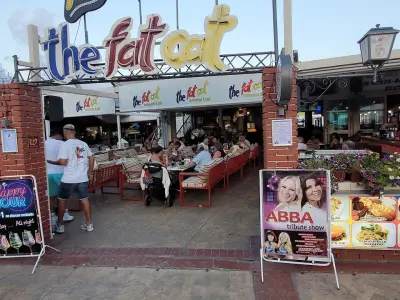 The Fat Cat