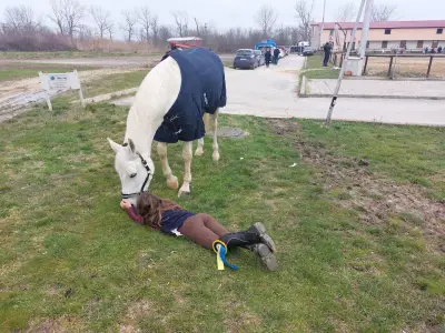 Horse riding Sunny Beach/Конна база Слънчев бряг
