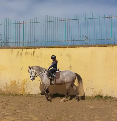 Horse riding Sunny Beach/Конна база Слънчев бряг