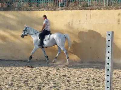 Horse riding Sunny Beach/Конна база Слънчев бряг
