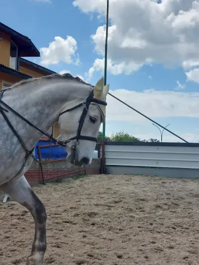 Horse riding Sunny Beach/Конна база Слънчев бряг