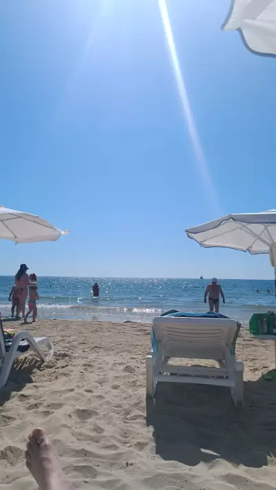 Каравана Чайка