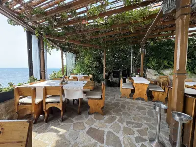 Плакамото