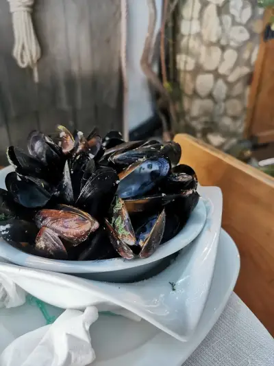 Плакамото