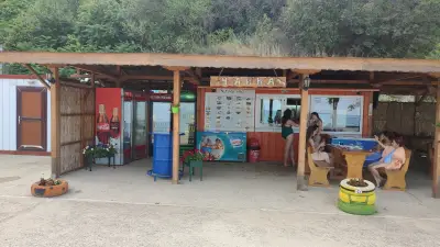 Чайка