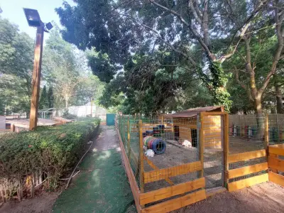 "The Rabbits Garden"