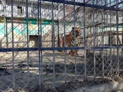 Зоологическа градина Ловеч