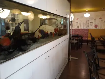 Лиани