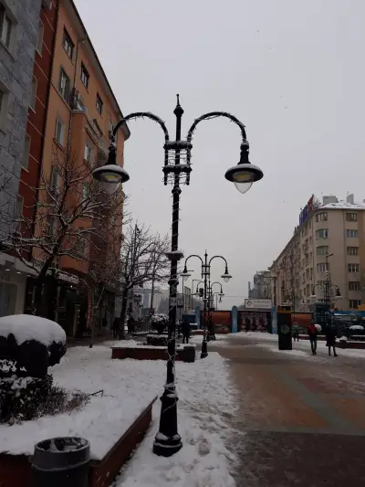 ZLATNA RIBKA Vitosha