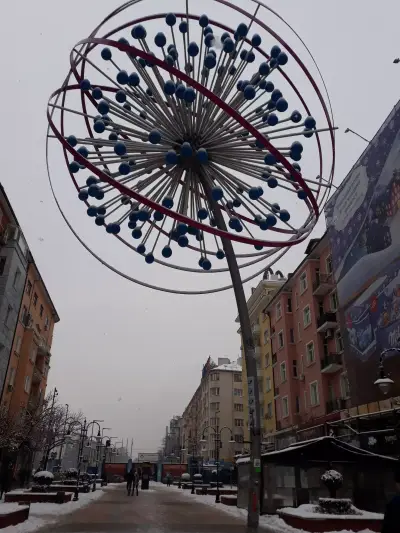 ZLATNA RIBKA Vitosha
