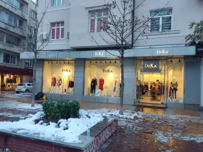 Дика