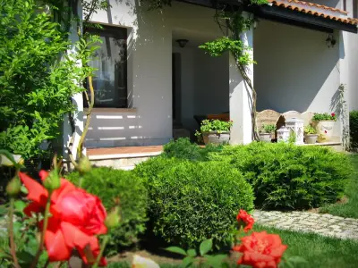 Oasis Resort Lozenets