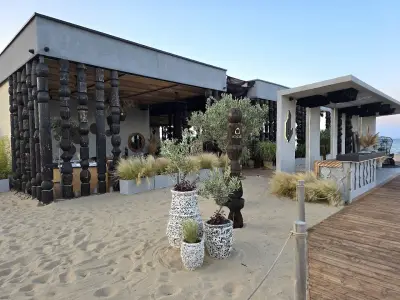 Noir Green Life Beach