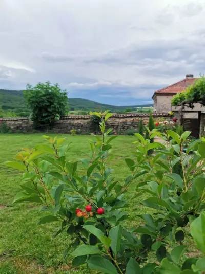 Villa Vin Santo