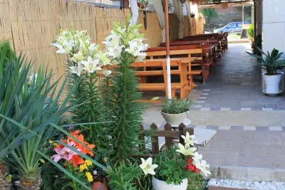 hotel Yanis