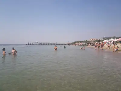 Агроаптека Деметра - Зигойст ЕООД