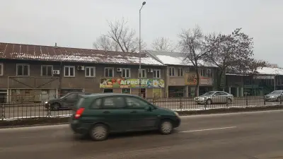 Сортови семена Тинастас